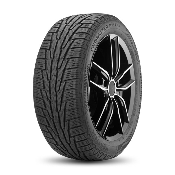 Шины Ikon Tyres  245/65/17  R 111 Ikon Character Snow 2 SUV  XL