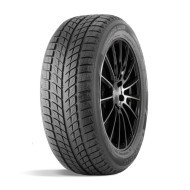 Шины DoubleStar  215/55/18  H 95 DW09 Шины DoubleStar  215/55/18  H 95 DW09